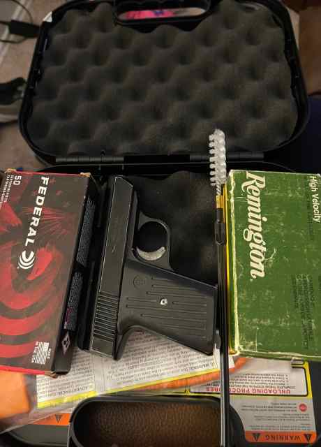  .380 Davis Arms and a Marlin D60 -22lr